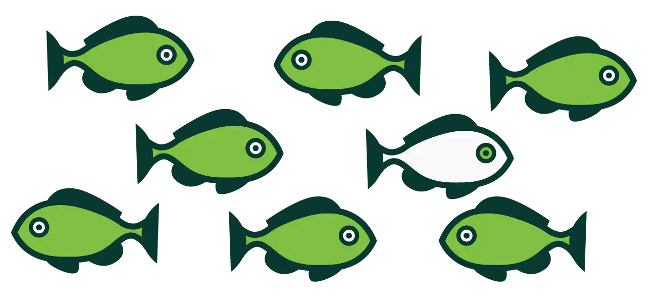 Phishing At