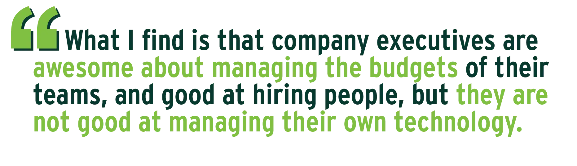 What I find is that company executives are awesome about managing the budgets of their teams, and good at hiring people, but they are not good at managing their own technology.